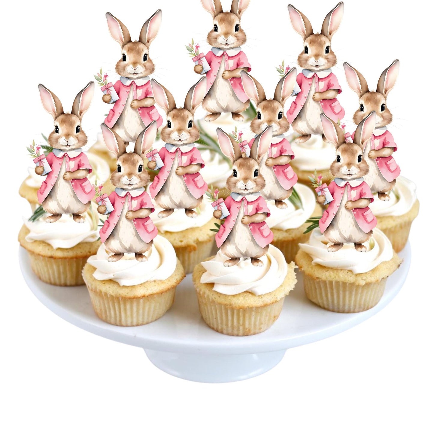 Set of 12 Peter Rabbit Inspired Cupcake Toppers, Peter Rabbit Inspired Cutouts, Peter Rabbit Baby Shower Treat Sticks