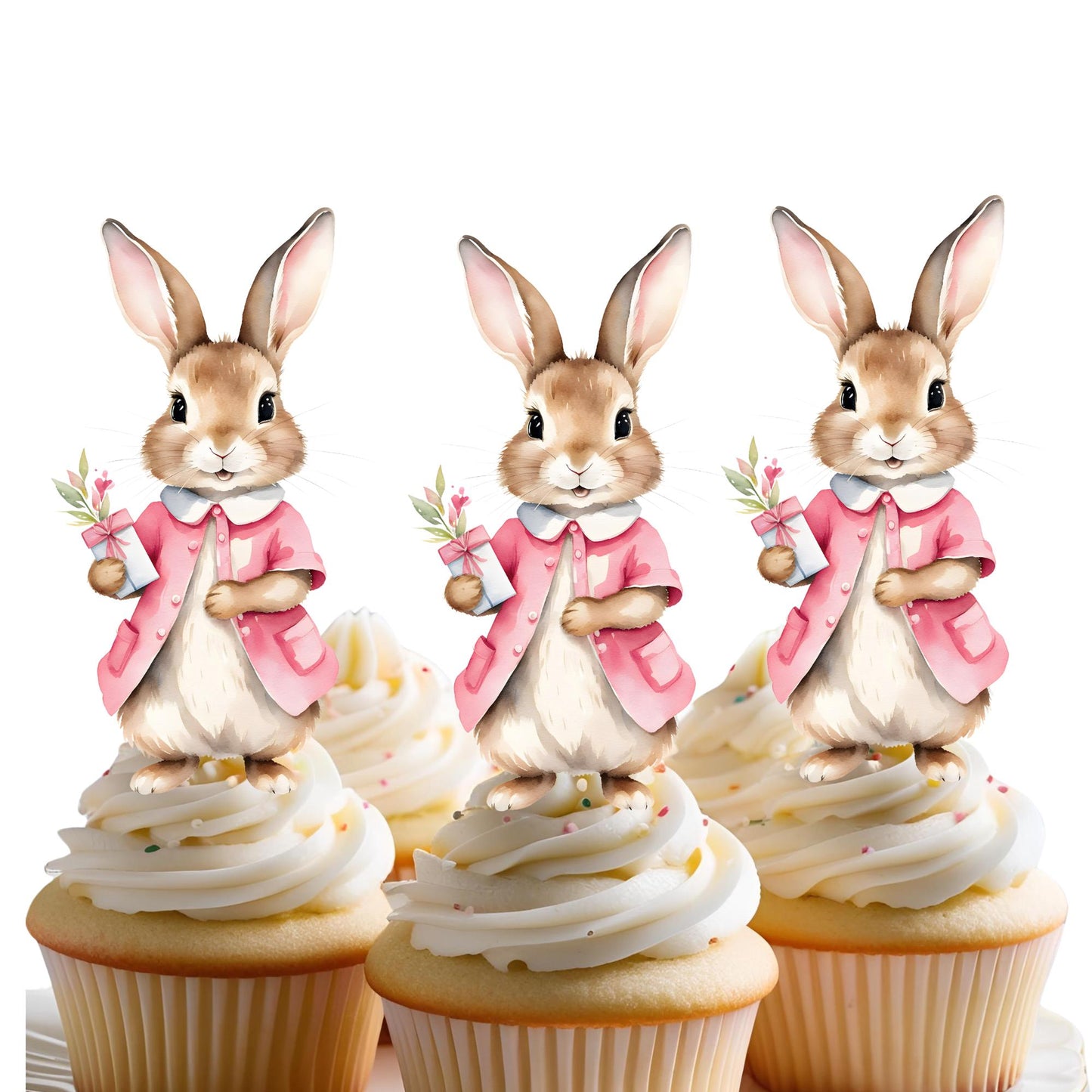Set of 12 Peter Rabbit Inspired Cupcake Toppers, Peter Rabbit Inspired Cutouts, Peter Rabbit Baby Shower Treat Sticks