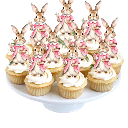 Set of 12 Peter Rabbit Inspired Cupcake Toppers, Peter Rabbit Inspired Cutouts, Peter Rabbit Baby Shower Treat Sticks