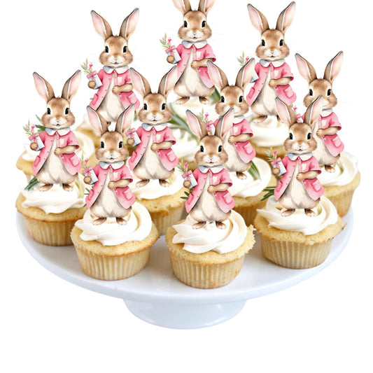 Set of 12 Peter Rabbit Inspired Cupcake Toppers, Peter Rabbit Inspired Cutouts, Peter Rabbit Baby Shower Treat Sticks