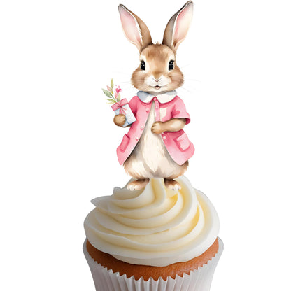 Set of 12 Peter Rabbit Inspired Cupcake Toppers, Peter Rabbit Inspired Cutouts, Peter Rabbit Baby Shower Treat Sticks